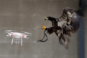 eagle-drone-copia-605x403